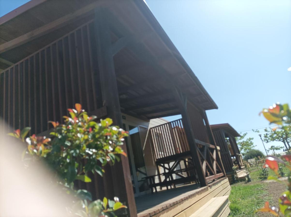 La Masia Bg Parc Sant Pere Pescador Εξωτερικό φωτογραφία